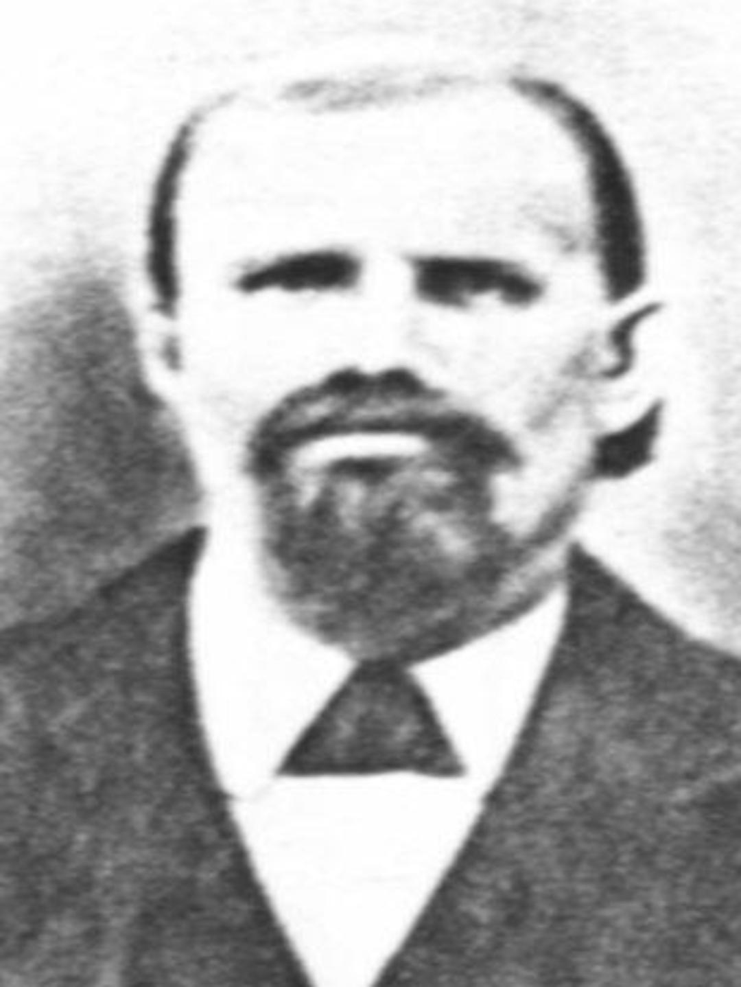 Sylvester Wilson (1840 - 1895) Profile
